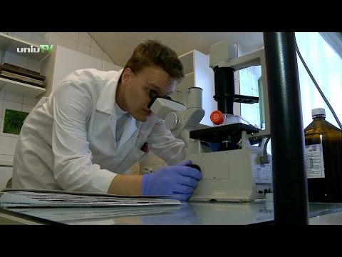 Hányingeres tabletták után a férgektől