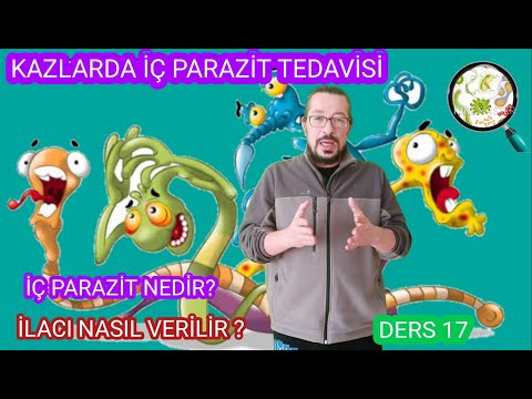 Emberi bélféreg elleni gyógyszer