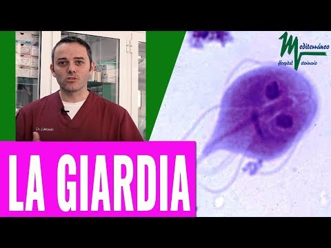 A légzés okai a férfiaknál Házi gyógyszer a paraziták számára