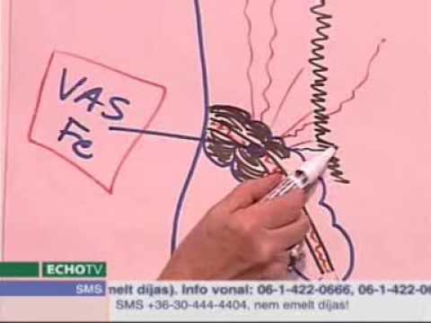 A legjobb féreggyógyászati vélemények