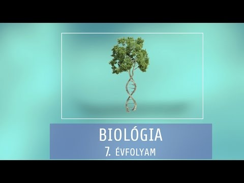 Termékek, amelyek eltávolítják a parazitákat a testből Gyógyászat férgek megelőzésére gyermekeknél legfeljebb egy évig