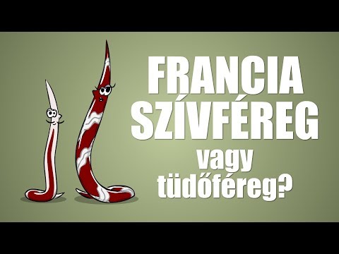 A paraziták gyógyítása emberben fórum