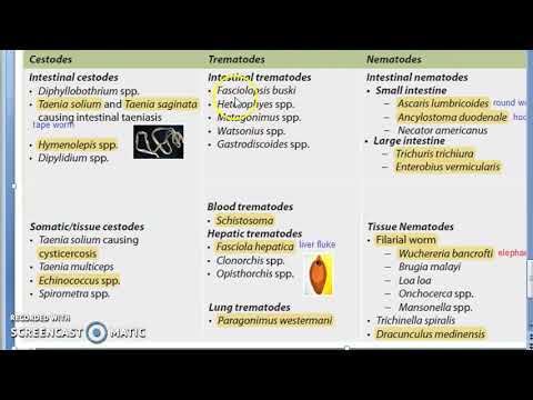 Shelton méregtelenítés