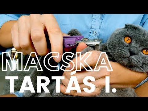 Kémcső az enterobiasisra