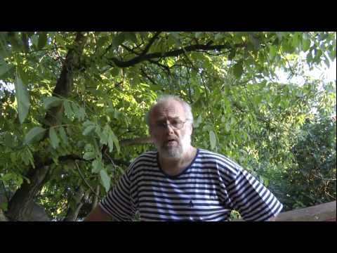 Helmint következmények