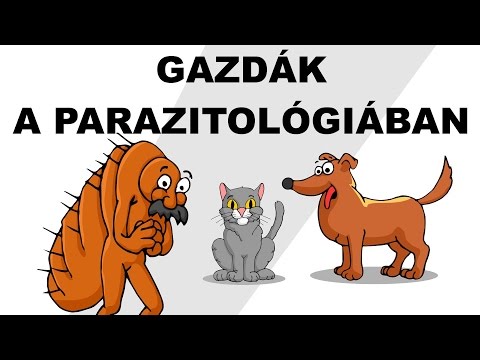 Férgek gyógyszertári készítményei
