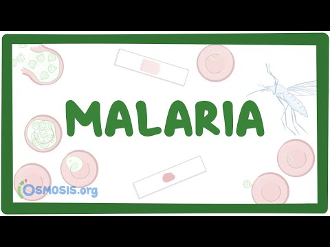 Cdc giardia duodenalis