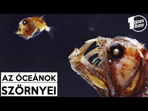 Termékek a rossz leheletért