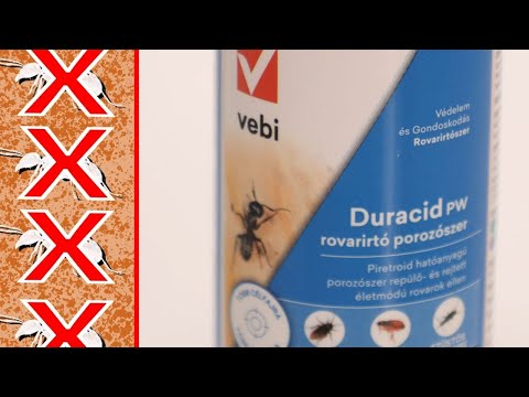 Kijegyetjük a parazitákat