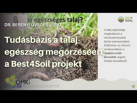 Ha a férgeket a családban kezelik