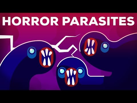 Tabletták a paraziták számára, széles körű hatásvizsgálattal