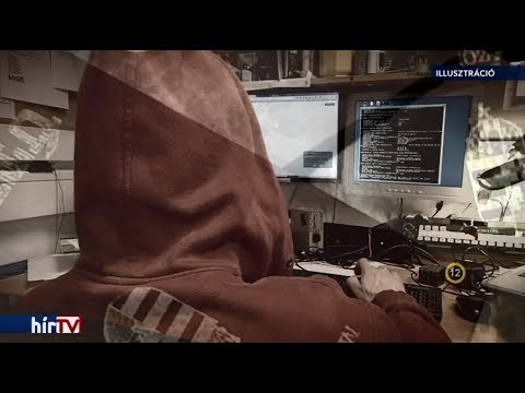 Széles kúpos testüreg