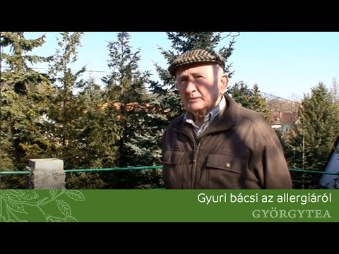 A máj helyreállítása férgek kezelése után