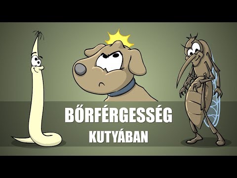 Mennyi a férgek kezelése gyermekeknél