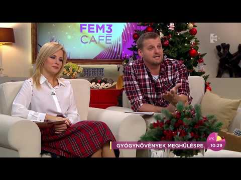 Az ascaris elleni leghatékonyabb gyógyszer