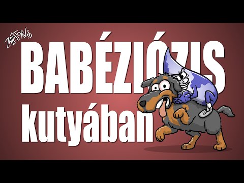 Helminták és papillómák