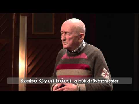 Milyen jelei vannak a helmintáknak Paraziták másznak