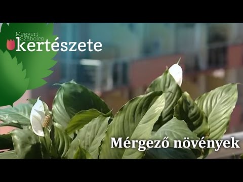 Férgek megsemmisítésére szolgáló készítmények