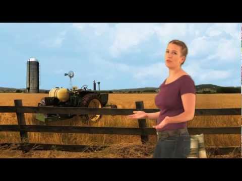 Helminthiasis kezelés 1 éves gyermekeknél Helminthiasis megelőzése