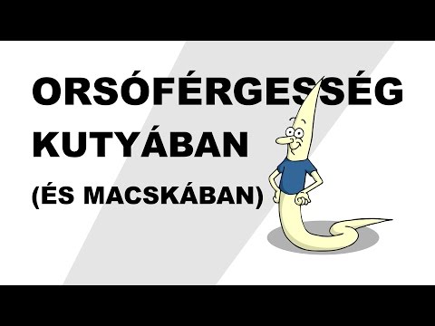 5 éves gyermekek férgekhez való készítményei, Férgekhez való készítmények gyermekek számára egy évig