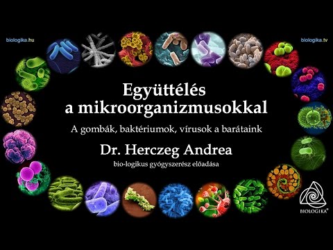 Sürgősen távolítsa el a rossz leheletet