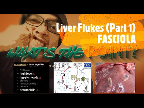 Milyen csoportba tartozik az aszcariasis