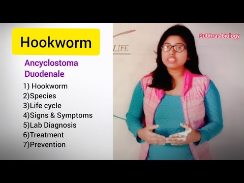 Deworming gyermekek drogok Pinworms az egész család számára