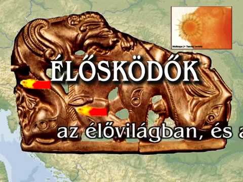 Az emberi máj parazitáinak kezelése Hús étkezési paraziták a mellben
