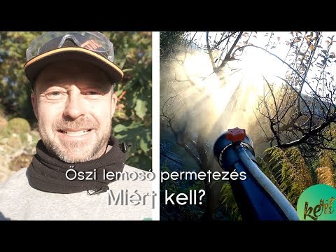 Tabletták a férgek túladagolásához