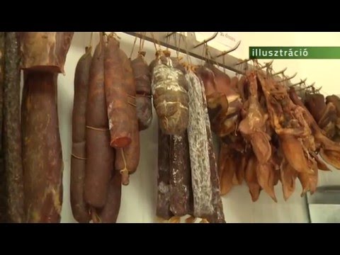 Ember strongyloidosis kezelése Ízeltlábúak paraziták meghatározása